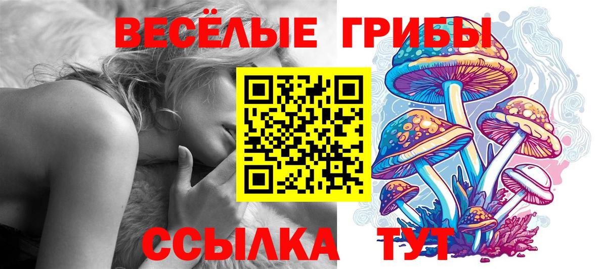 Галлюциногенные грибы Psilocybe Бахчисарай