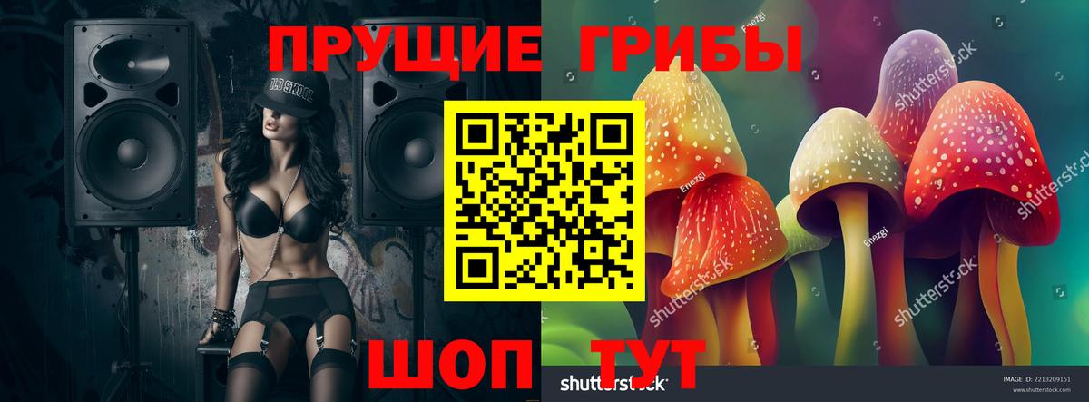 Галлюциногенные грибы Psilocybine cubensis  Вход с VPN  Бахчисарай 